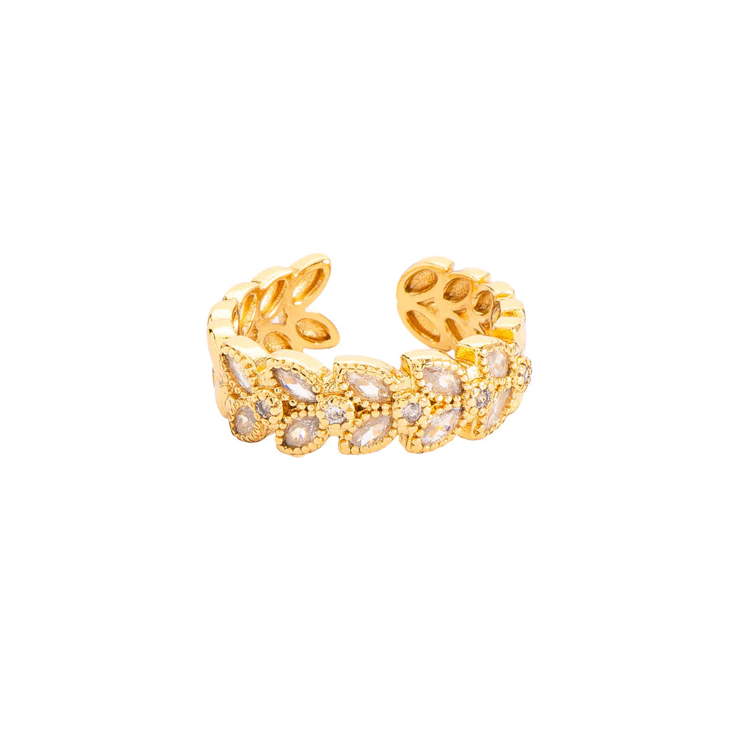 Anillo Hojas Zirc