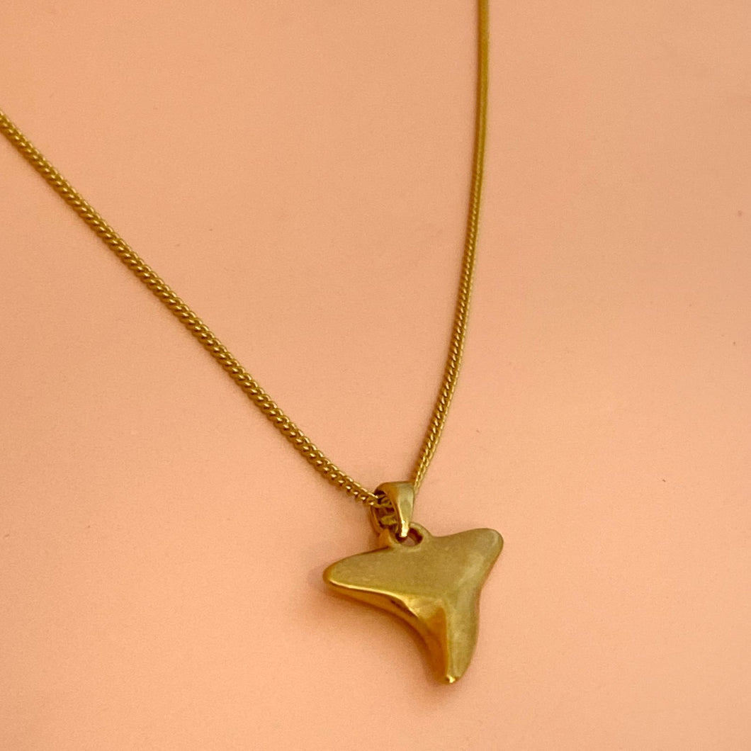 Collar Diente Tiburón Chico