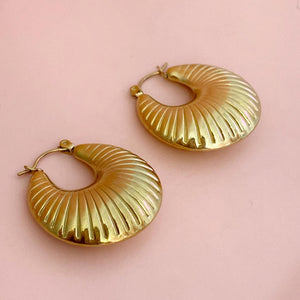 Hoops Concha