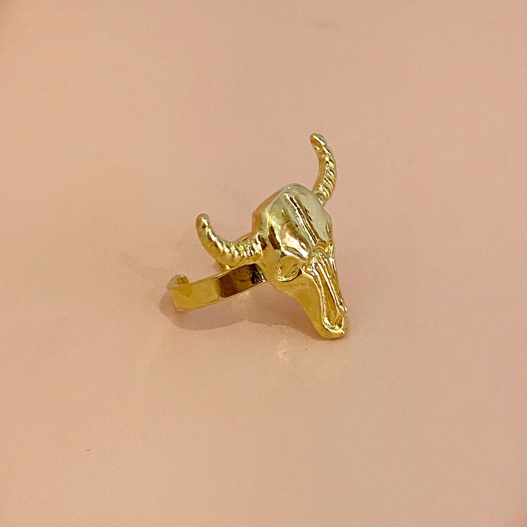 Anillo Ajustable Toro